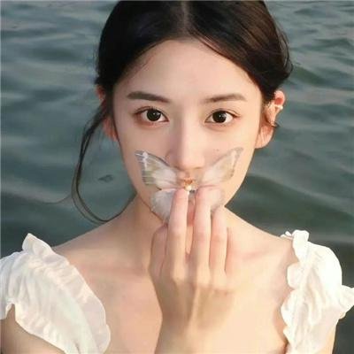 天机十二宫第一季